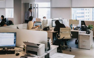 Odpowiedzialność cywilnoprawna  członka zarządu spółki z ograniczoną odpowiedzialnością na gruncie art. 293 § 3 kodeksu spółek handlowych